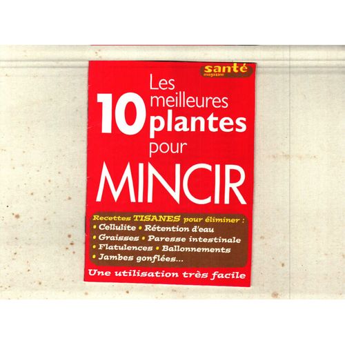 Les 10 Meilleures Plantes Pour Mincir