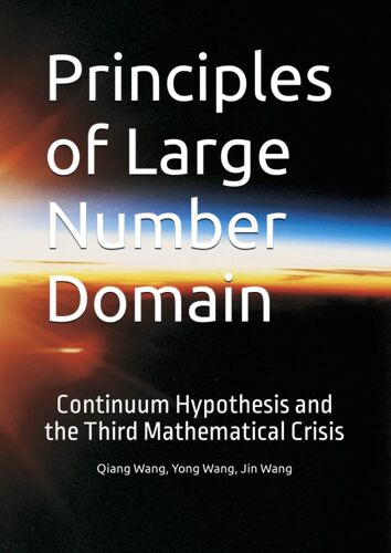 Principles Of Large Number Domain: Continuum Hypothesis And The Third Mathematical Crisis