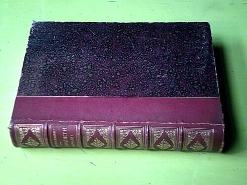 Sainte Elisabeth De Hongrie