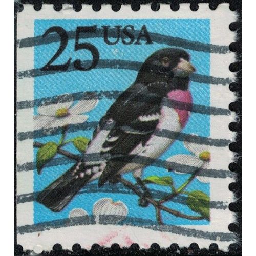 Etats Unis 1988 Oblitéré Used Oiseau Pheucticus Ludovicianus Cardinal À Poitrine Rose Su