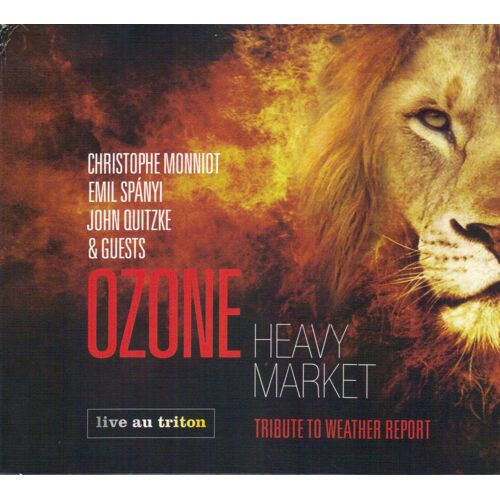 Heavy Market - Tribute To Weather Report - Live Au Triton