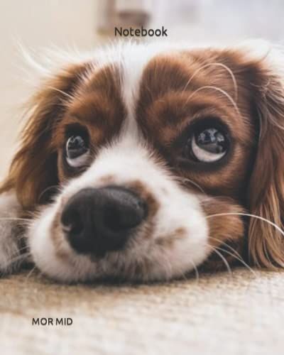 Notebook It Is A Great A Perfect Gift For Students And Pupils, It Can Be Used As A Notepad Or Notebook In University Stands - Lectures Seminars - High School Or Preparing For Exams...