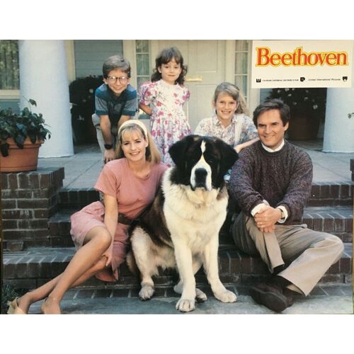 Beethoven : Jeu De 12 Photos D'exploitation Cinématographique - Format 21x27 Cm - De Brian Levant Avec Charles Grodin, Bonnie Hunt, Oliver Platt, Stanley Tucci, Nicholle Tom - 1991