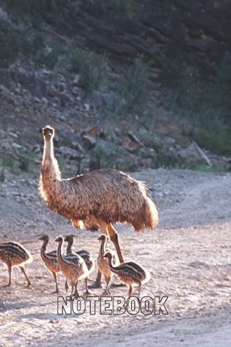 Lily Of The Valley Notebook: Blank Lined Composition Journal | Lily Of The Valley Notebook | 100 Pages