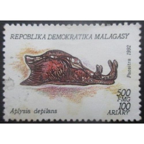 Madagascar N°1155 Mollusque Oblitéré