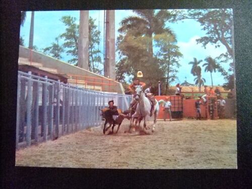 Cuba Rodeo En El Parque Lenin La Habana