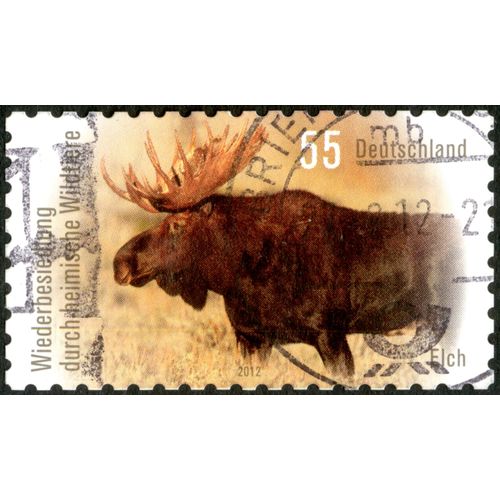 Timbre Oblitéré Deutschland, Elch, Wiederbesiedlung Durch Heimische Wildtiere, 2012, 55