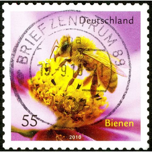 Timbre Oblitéré Deutschland, Bienen, 2010, 55