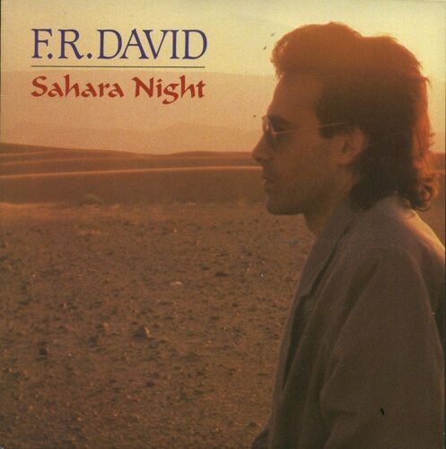 Sahara Night / Shooting Star