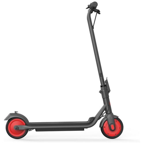 Segway Ninebot By Segway Kickscooter Zing C20