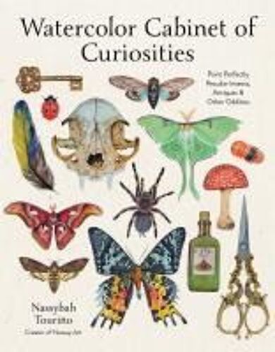 Watercolor Cabinet Of Curiosities