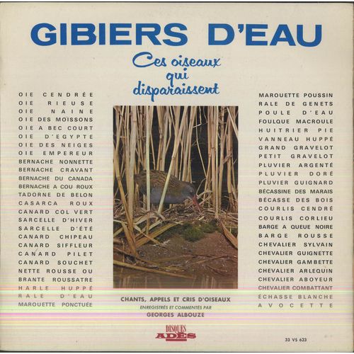 Gibiers D'eau, Ces Oiseaux Qui Disparaissent