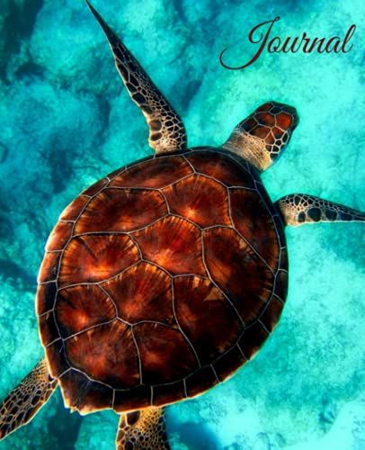 Journal Notebook: Sea Turtle Theme 150 Pages 7.5" X 9.25": College Ruled Paper