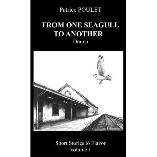 From One Seagull To Another (Short Stories To Flavor)