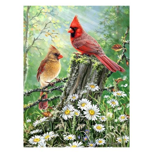 5d Plein Forage Cardinaux Oiseaux Diamant Kit De Peinture, Bricolage Diamant Strass