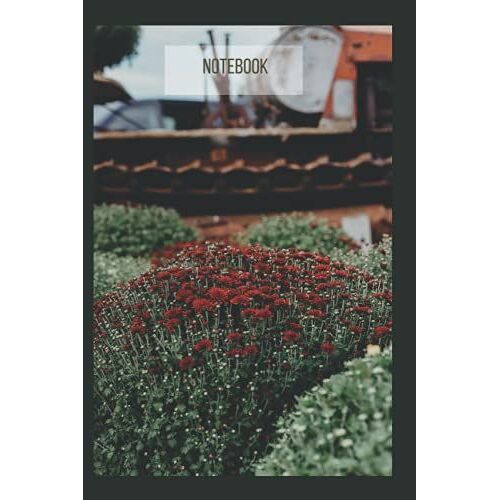 Flower Notebook Journal: Jionotes-Flowered Cover, Beautiful & Elegant Journal For Nature Lovers. Perfect For Lovers Of Red.