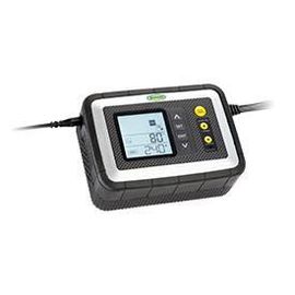 Chargeur De Batterie Automatique Ring 12a Avec Analyseur