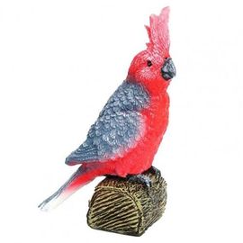 Modèle De Cacatoès Haute Simulation, Perroquet, Joli, Vif, Mini Figurines, Jouets Pour Enfants