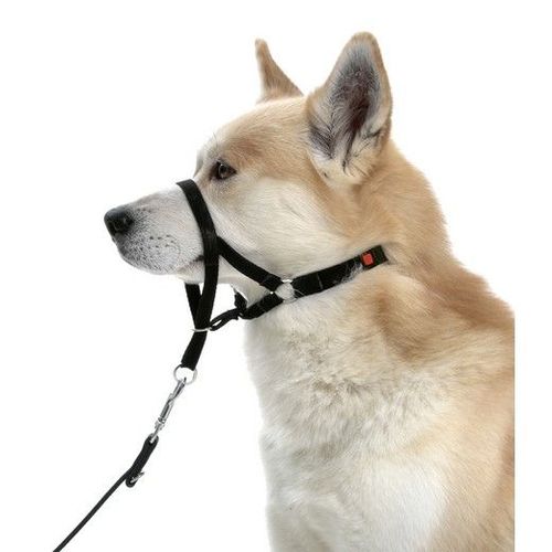 Collier DÉducation Dog Control Type Halti Désignation : Dog Contol | Taille : 5 / L | Type De Race : Dog Contol Morin 23005