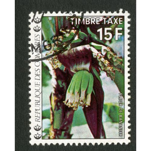 Timbre Oblitéré République Des Comores, Timbre Taxe, Fleur De Bananier, 15 F