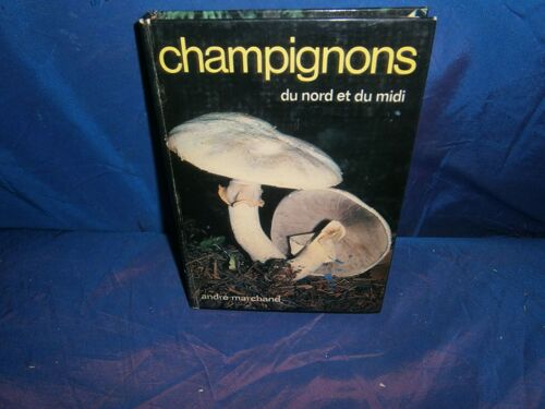 Champignons Du Nord Et Du Midi