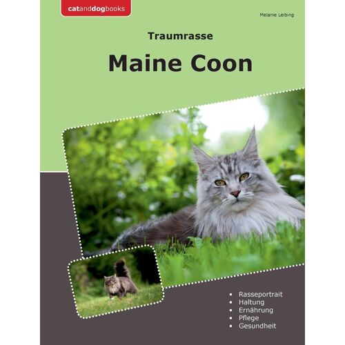 Traumrasse Maine Coon