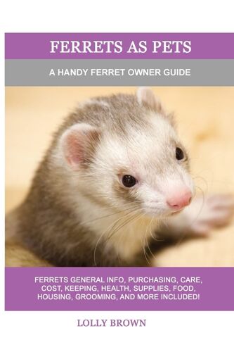 Ferrets As Pets