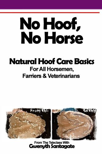 No Hoof, No Horse: A Basic Guide To Natural Hoofcare Basics For Horsemen, Farriers & Vetrinarians (Equineteleseminar.Net Classes & Teleseminars)