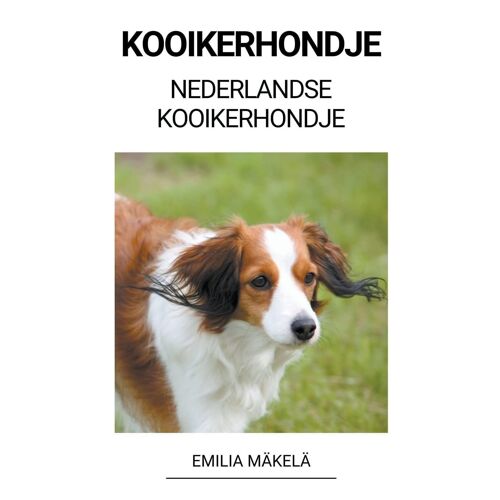 Kooikerhondje (Nederlandse Kooikerhondje)