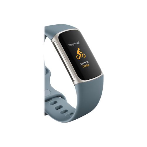 Fitbit Charge 5 - Acier inoxydable platine - Tracker d'activités avec bracelet infinie - silicone - acier bleu - taille du poignet : 130-210 mm - affichage 1.04" - Bluetooth, NFC