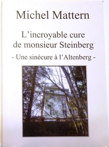 L'incroyable Cure De Monsieur Steinberg - Une Sinécure À L'altenberg