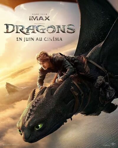 Dragons (How To Train Your Dragon) - Véritable Affiche De Cinéma Pliée - Format 40x60 Cm - De Dean Deblois Avec Mason Thames, Nico Parker, Gerard Butler, Nick Frost - 2025