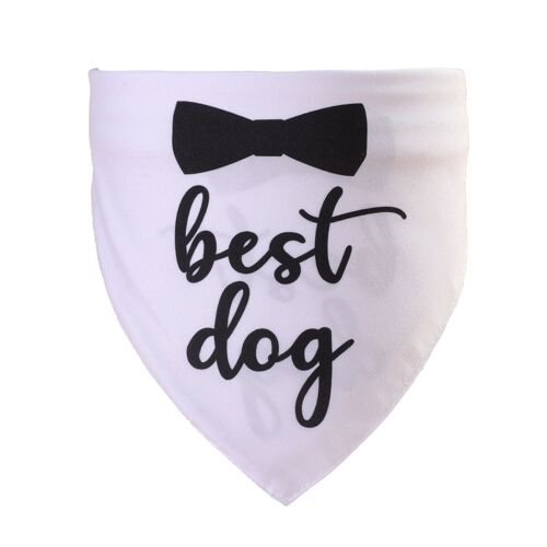 Pet Summer Triangle Scarf (Wedding Season - White), Kitten Collar Pet Collar, Summer Scarf, Slobber Scarf, Dog Collar