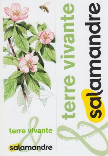 Marque Page " Terre Vivante & Salamandre " N°1
