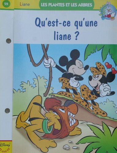 Fiche Disney Planete Qu'est-Ce Qu'une Liane ?