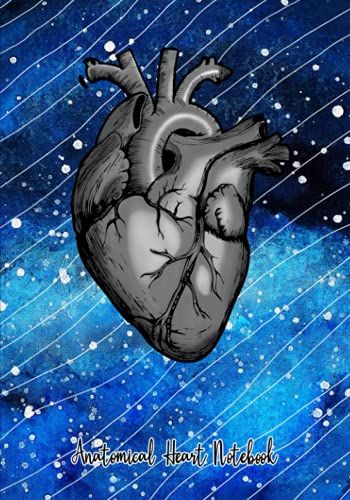 Anatomical Heart Notebook: College Ruled Journal 120 Pages 7 X 10 Inch Gift For Nurses And Medical Student