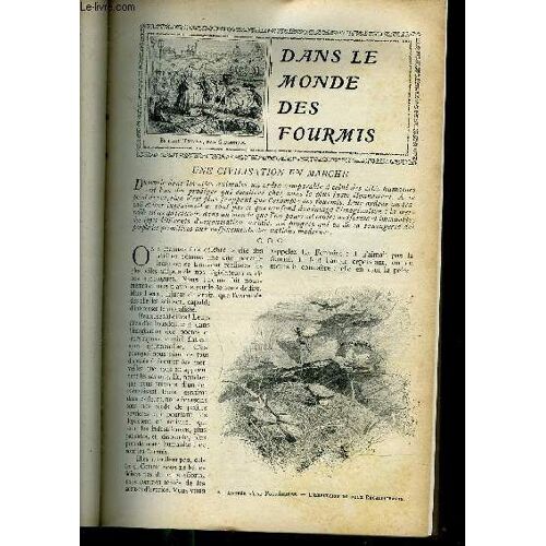 Dans Le Monde Des Fourmis + Le Secret De L'epave