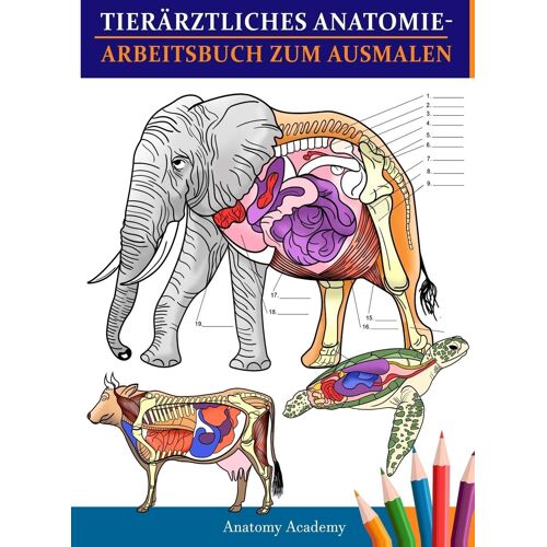 Tierärztliches Anatomie-Arbeitsbuch Zum Ausmalen
