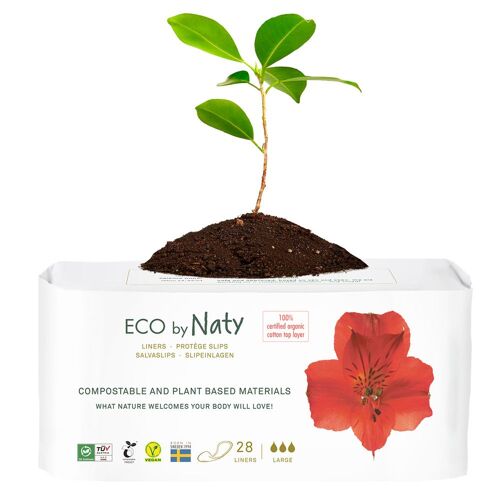 Eco By Naty - Protège-Slips - Large Hygiène Féminine 1 Unité 