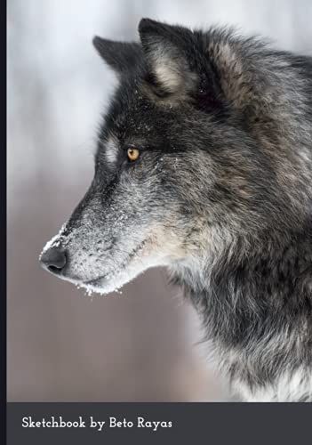 Sketchbook: A Great Tool To Design Beautiful Compositions And Practice Sketching The Most Comfortable Way