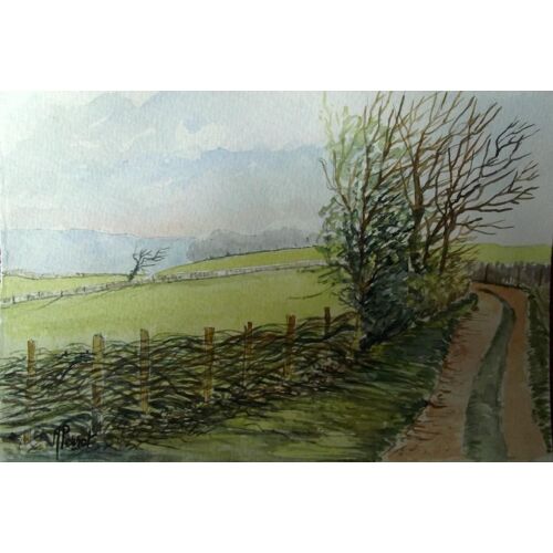 Aquarelle Originale Et Unique De Michel Perrot.Boquage Du Bazois.