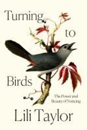 Turning To Birds