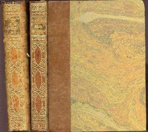 Grands Névropathes Tome 1 : Baudelaire, Byron, Chateaubrian, Molière, Pascal, Shelley, Wagner + Tome 3 : Hoffman, Heine, Swift, Quincey, Coleridge, Cooper, Tennyson, Chopin, Gogol, Gontcharov(...)