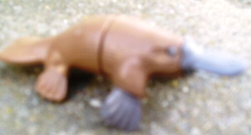 Kinder Ft 005  Ortnithorynque 