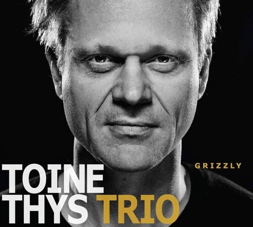 Toine Thys Trio Grizzly