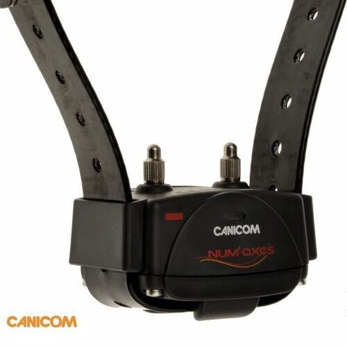 Collier Seul De Dressage Canicom Avec Sangle Noire