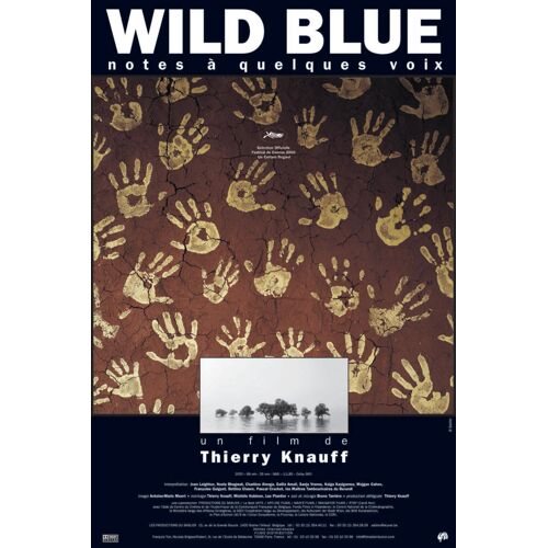 Affiche Cinéma : "Wild Blue" De Thierry Knauff