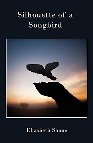Silhouette Of A Songbird
