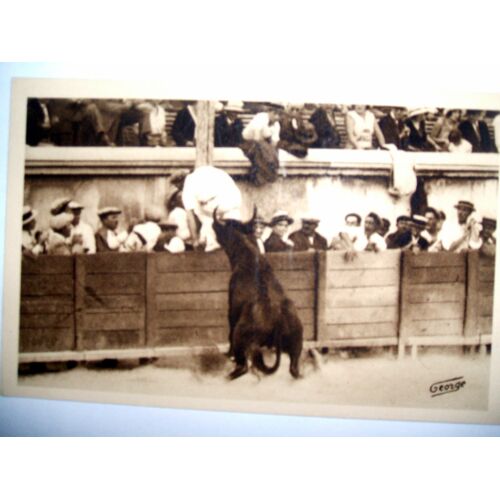 Carte Postale Ancienne - 721 - Arènes De Nimes -