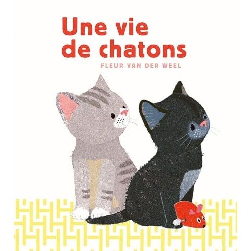 Une Vie De Chatons